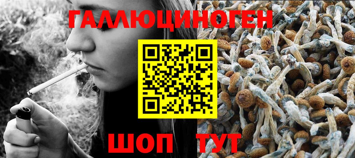 Качканар  Псилоцибиновые грибы прущие грибы  Вход с VPN  Галлюциногенные грибы мицелий 